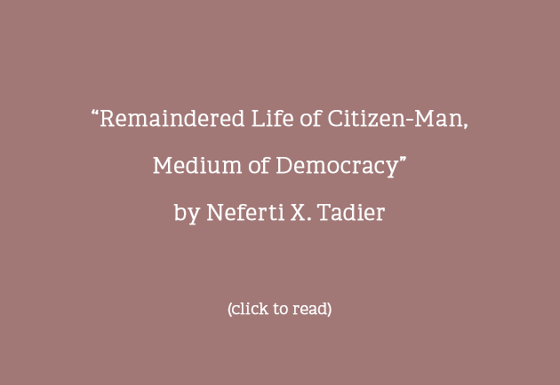 Remaindered Life of Citizen-Man, Medium of Democracy